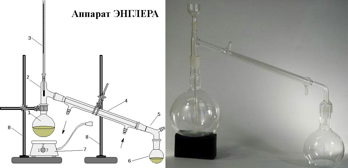 apparat_englera.png